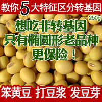 黄豆非转基因大豆 沂蒙山农家自种豆浆小黄豆 发豆芽专用250g
