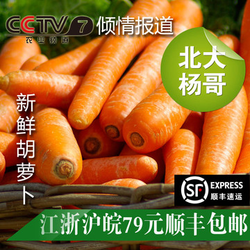 北大杨哥 新鲜种植无公害蔬菜保鲜包装胡萝卜500克