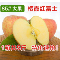 贡果园85栖霞红富士苹果烟台苹果5斤包邮 脆甜新鲜水果洛川苹果