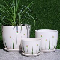 花盆陶瓷 全新多肉植物八方形花盆 创意绿萝吊兰植物花盆包邮