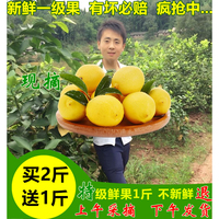 川柠 现摘1斤装 一级黄柠檬 安岳新鲜柠檬 买2斤送1斤 不打蜡水果