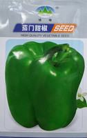 蔬菜种子 青椒  茄门椒  春季 可阳台种植 批发