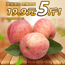 烟台苹果水果新鲜正宗山东栖霞红富士高山纯天然孕妇农家特产5斤