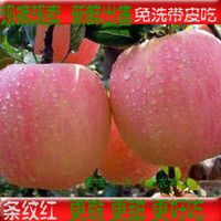 陕西精品红富士新鲜蔬果水果苹果9粒包邮礼品盒装