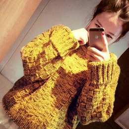 毛衣女2016秋季新款女装 韩国东大门粗针半高领打底套头针织衫