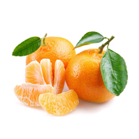 福建泉州永春芦柑 新鲜甜柑橘 蜜橘子桔子水果5斤 停止发货
