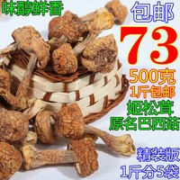特级香格里拉姬松茸500g巴西菇新鲜干货农家优质野生香菇1斤包邮