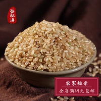 云南糙米农家自产粳米玄米五谷杂粮粗粮营养煲粥粮食500g新米