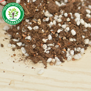 营养土 通用类型 多肉植物最适合 品氏泥炭混珍珠岩蛭石河沙