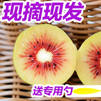 四川特产正宗蒲江红心猕猴桃新鲜水果30个奇异果包邮