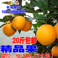 【预售】赣南脐橙寻乌甜橙子胜信丰新鲜水果农家现摘现发20斤包邮