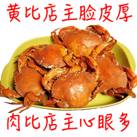 正宗三门青蟹大红膏蟹满黄母螃蟹海鲜鲜活水产海蟹产地直发现货