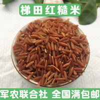 红米 农家种植红米 红粳米红血稻糙米 云南梯田红糙米