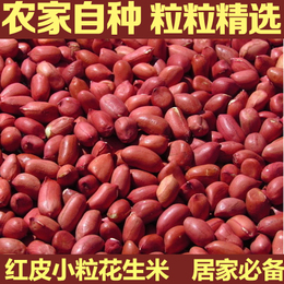 新鲜货农家自种的花生米仁500g红皮衣小粒生的 不带壳