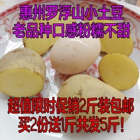 2016新鲜上市黄心小土豆马铃薯洋芋地蛋 香粉糯农家自产2斤装包邮
