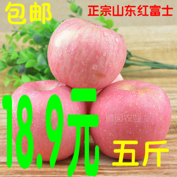 清园农业 山东红富士苹果 新鲜苹果水果 新鲜苹果 5斤装  包邮