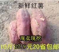 现挖沂蒙山新鲜红薯地瓜番薯农家红皮有机特价促销10斤27.9元