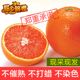 屈乡脐橙 新鲜水果秭归血橙 红肉脐橙中华红 现摘现发10斤包邮