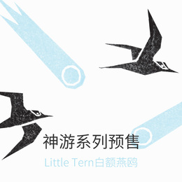 Space cadet神游系列预售-Little Tern白额燕鸥 笔记本