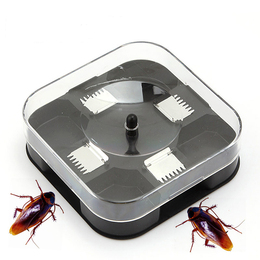 创意实用蟑螂捕捉器诱捕器小强专杀工具捕捉昆虫器2个装